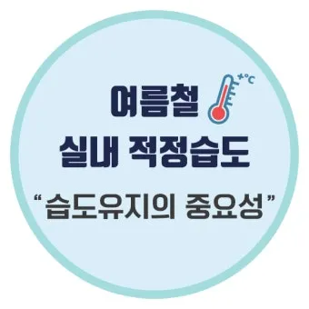 여름철 습도 관리 완벽 가이드 건강한 실내 환경_9