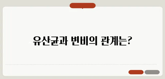 유산균 변비 효과 및 사용 후기