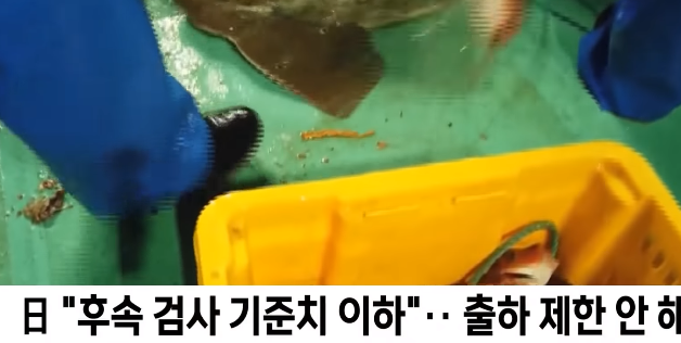  방사능 우럭 출하 안막은 일본