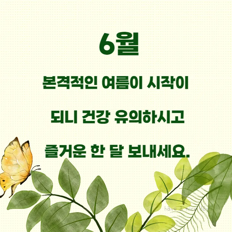 6월 인사말 모음집 이미지 문구 이미지 모음_5
