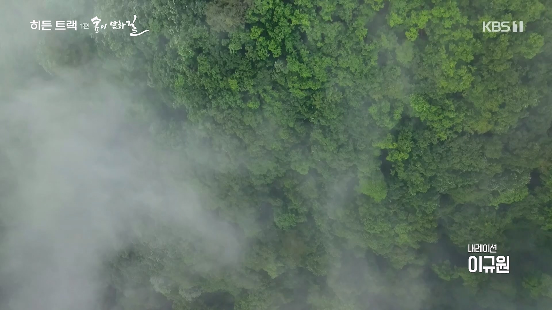 다큐 인사이트.E176.231214p.H264-F1RST.mp4_20231215_205440.181.jpg