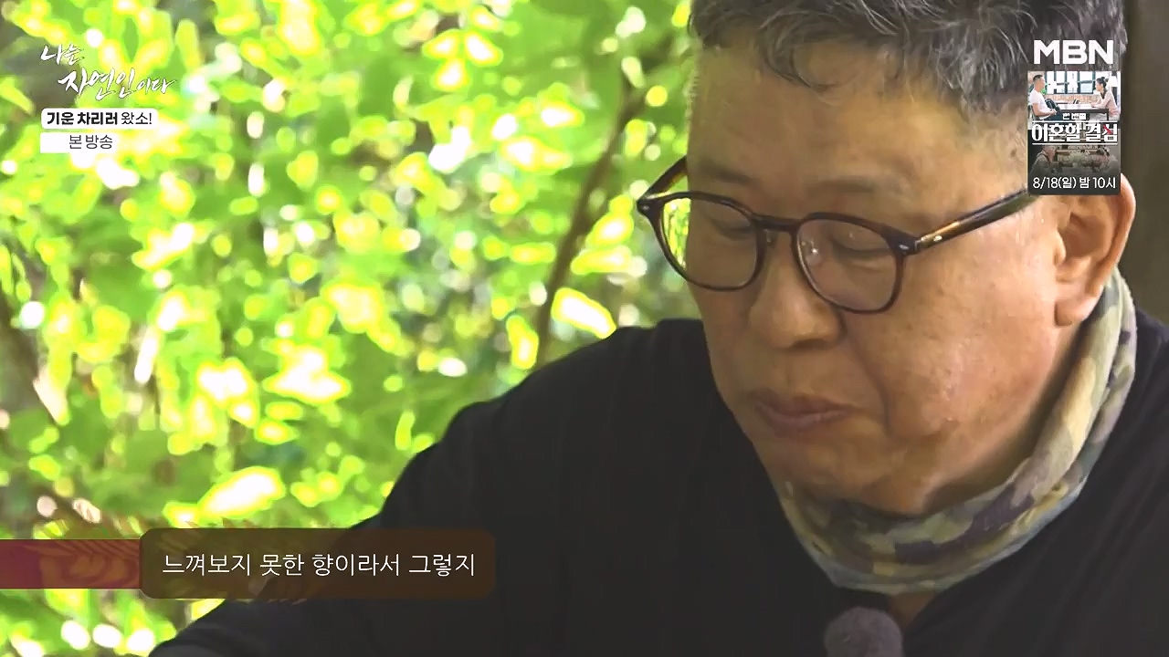 나는 자연인이다.E617.240808p-NEXT.mp4_20240808_195045.720.jpg