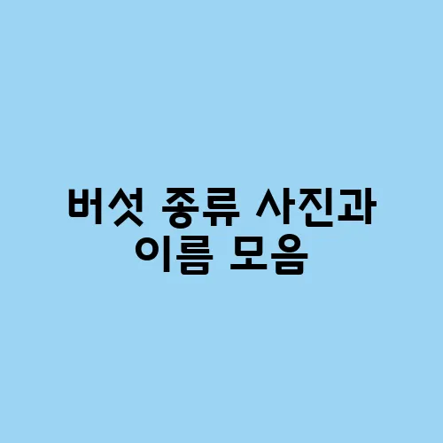 버섯 종류 사진과 이름 모음