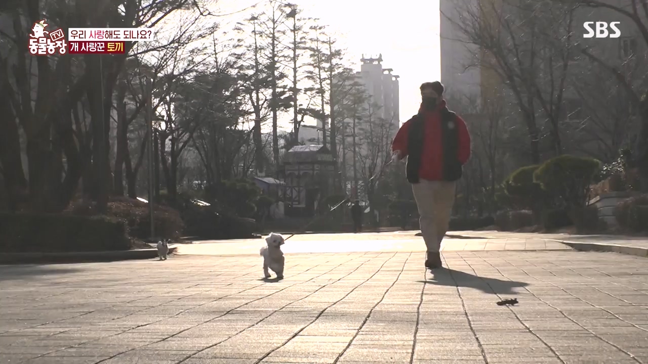 TV 동물농장.E1167.240415p-NEXT.mp4_20240414_160922.199.jpg