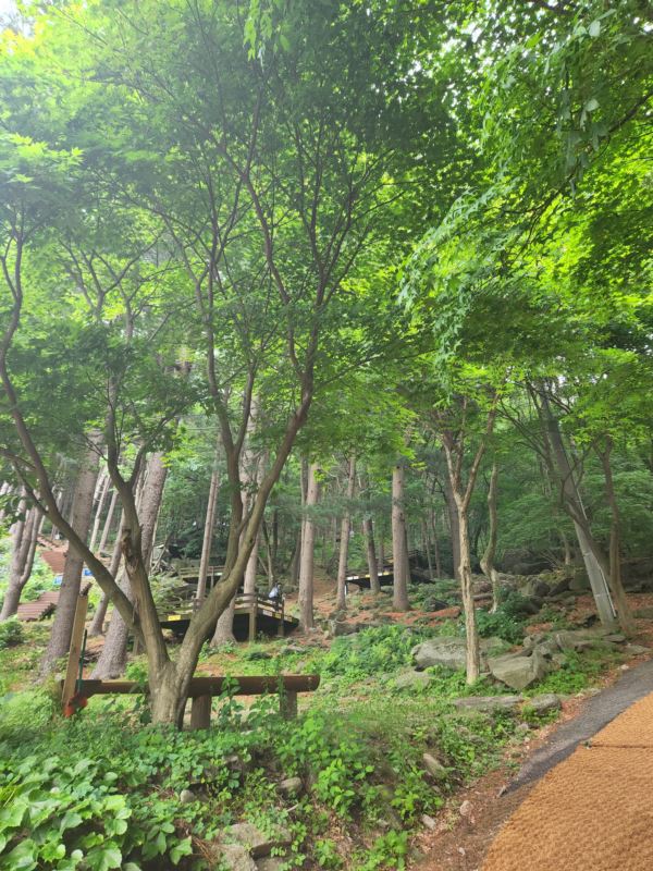 축령산