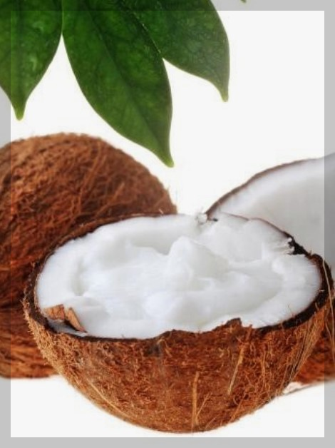 코코넛오일의 사용법과 효능 그리고 부작용