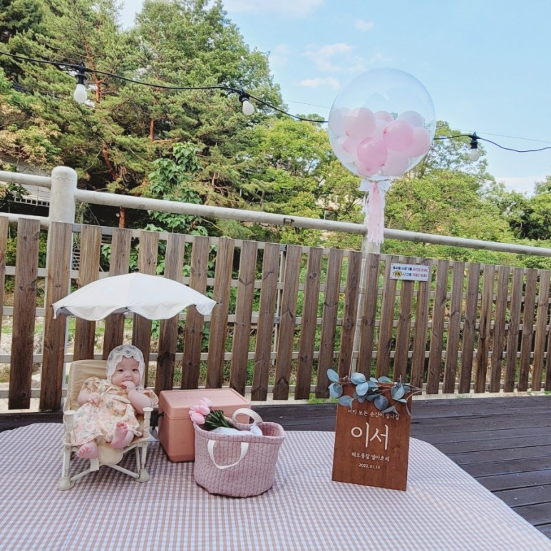 울산 자비 애완동물 연금 심사 11