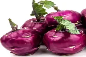 콜라비