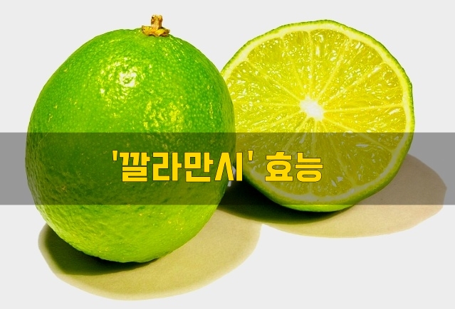  '깔라만시' 효능
