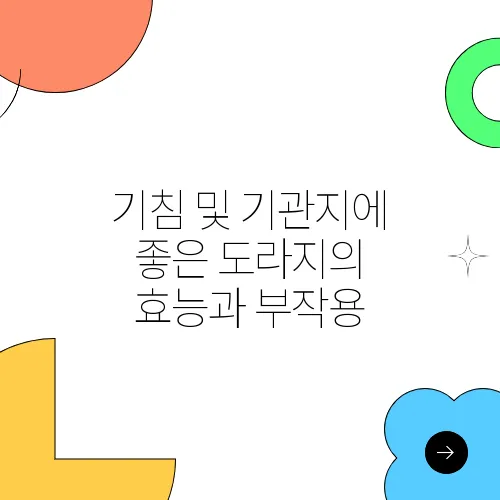 기침 및 기관지에 좋은 도라지의 효능과 부작용