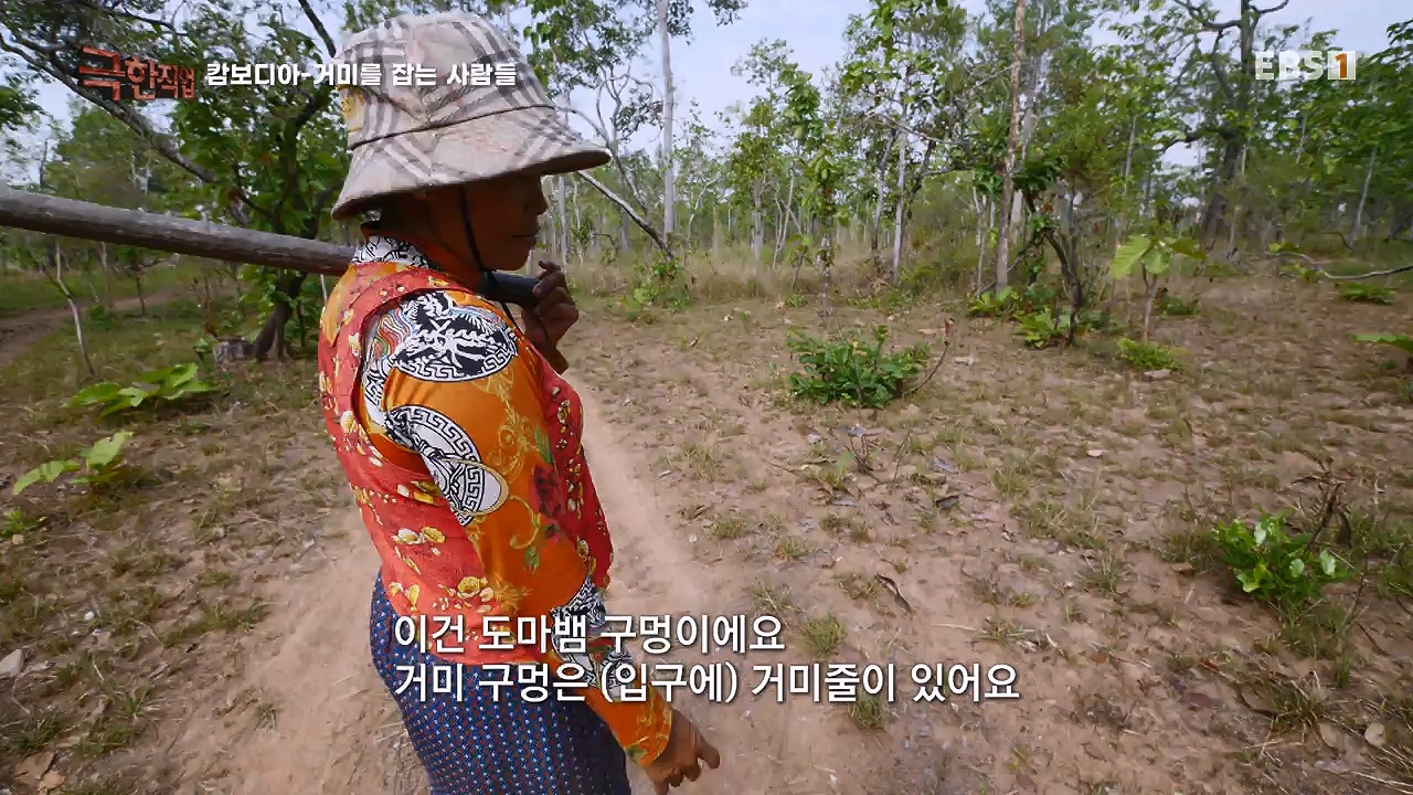 TV - 전 국민의 평생학교 EBS캄보디아 - 독충을 잡는 사람들.mp4_20230501_173359.719.jpg