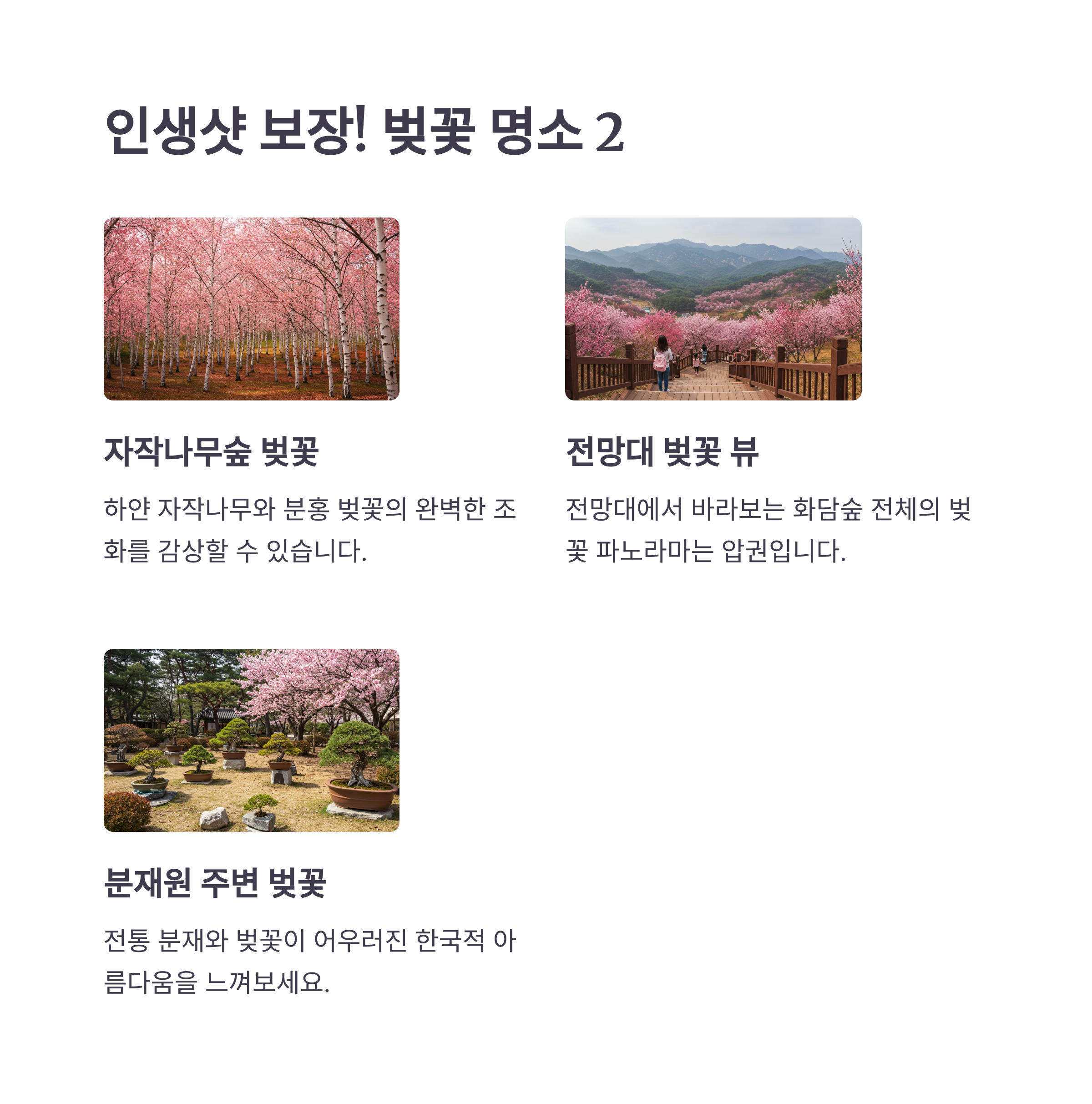 벚꽃 명소