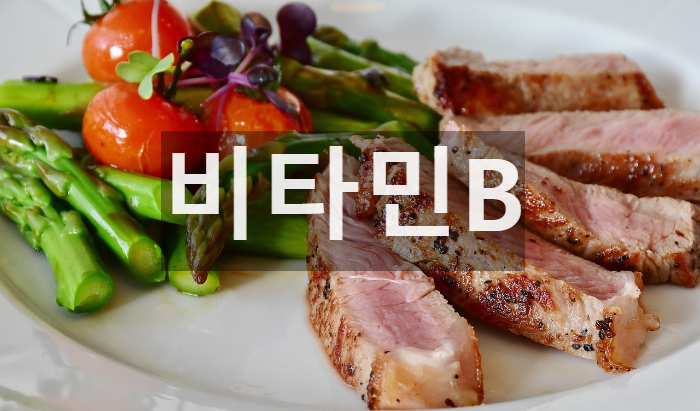  생체 기능에 필수적인 영양소 비타민B