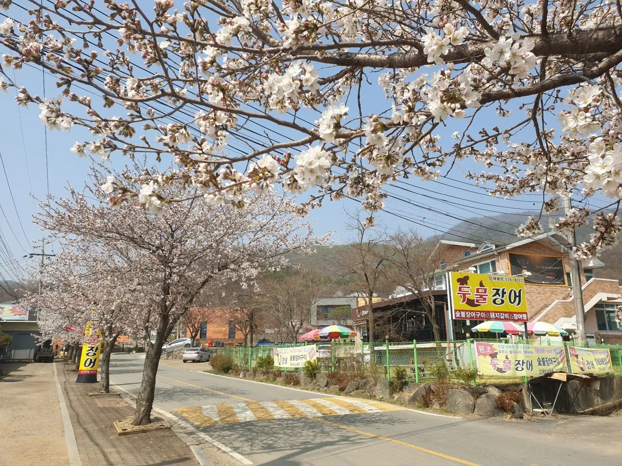 Dumuljangeo (두물장어) 3