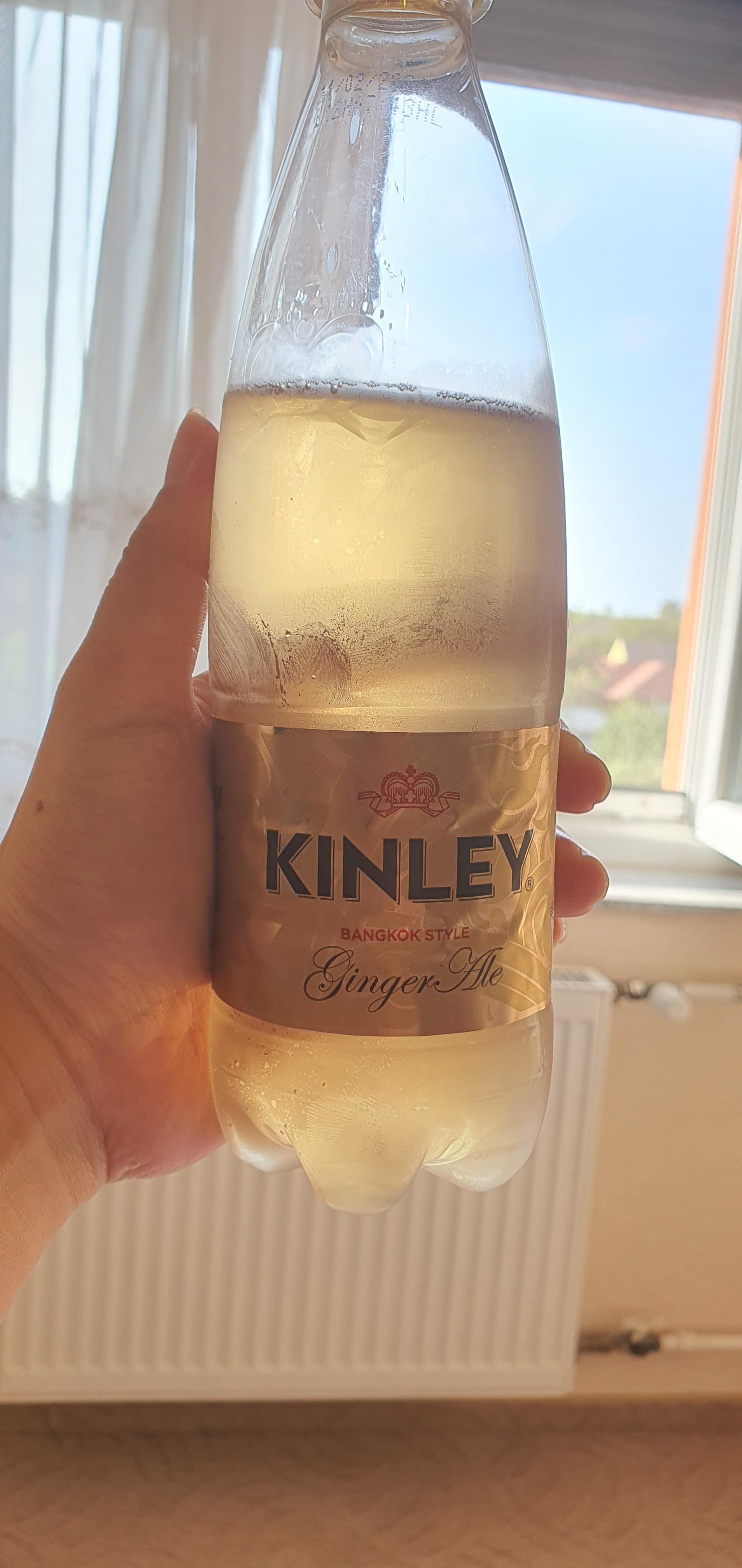  헝가리 ginger ale 의 맛에 빠지다