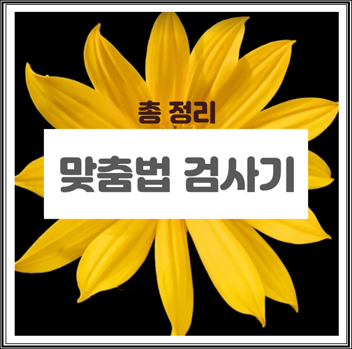  한글 맞춤법 검사기 총정리