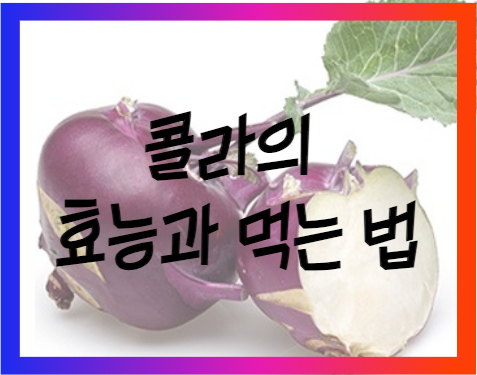 콜라비의 효능과 먹는 법