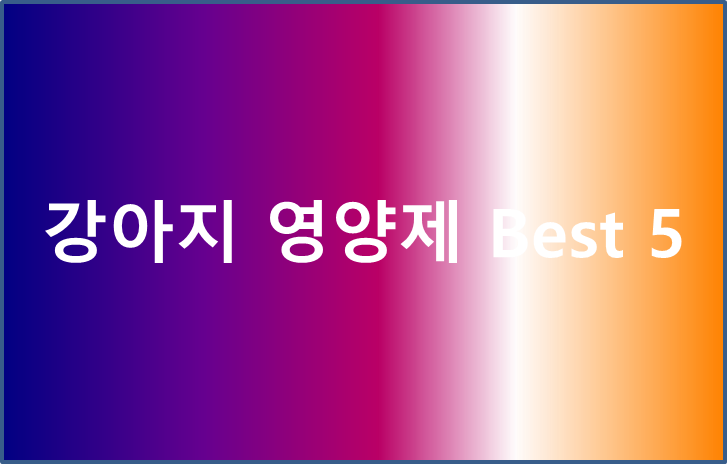 강아지영양제 best5