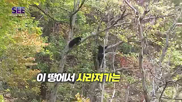 [88회] KBS 네트워크 특선 - KBS지구 재생 프로젝트, 종의 귀환.ts_20230309_201420.091.jpg