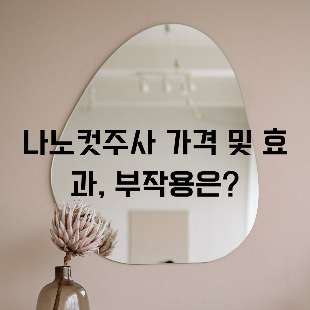 나노컷주사 가격