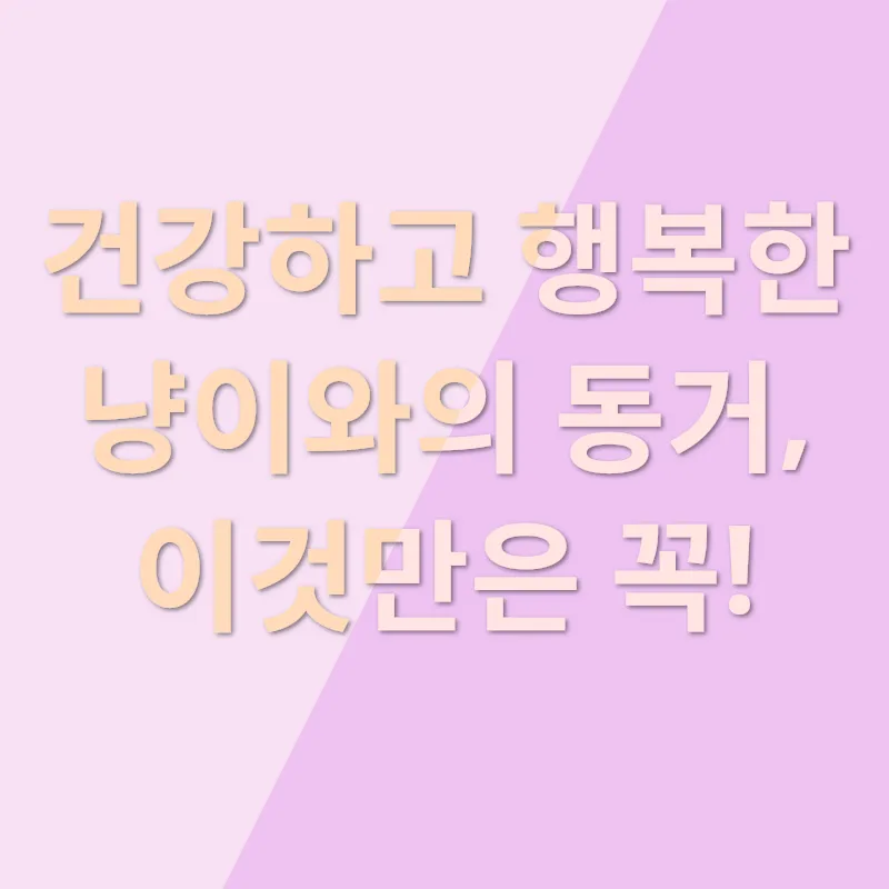 고양이와의 행복_2