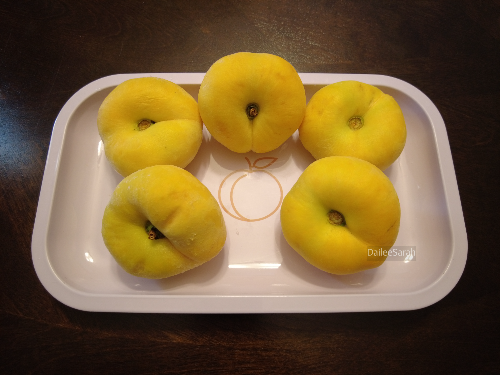  노란색 납작 복숭아 Yellow Donut Peach