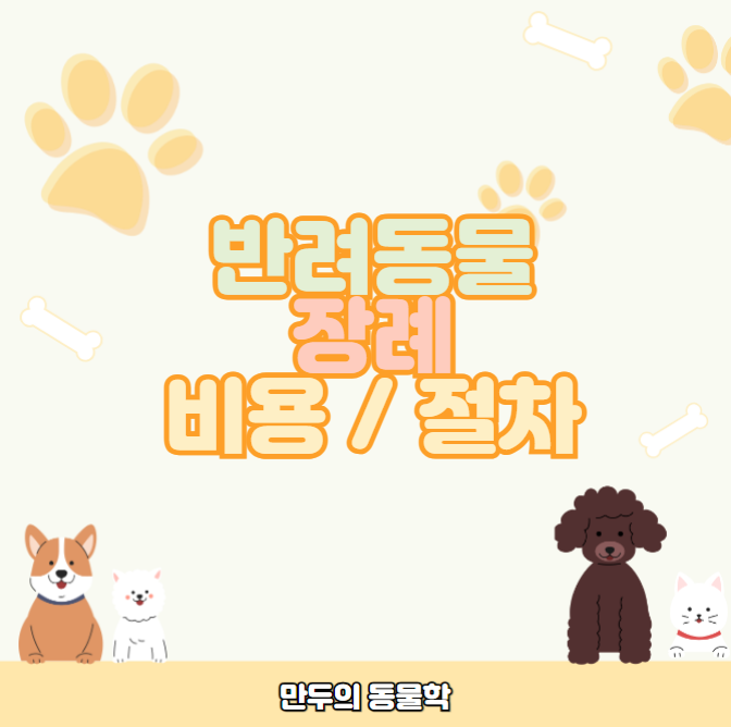 강아지고양이장례비용및절차정리편