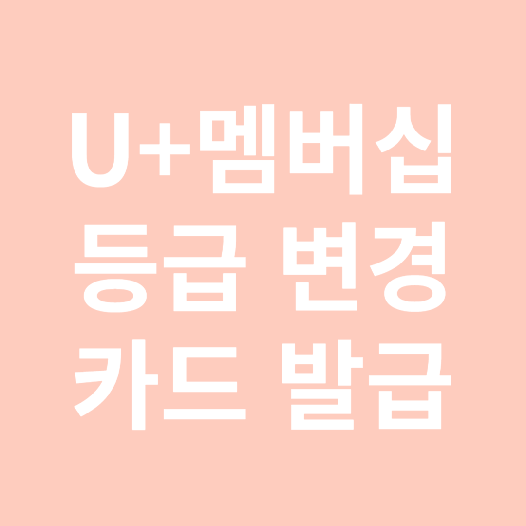 lg u+멤버십 사용 및 카드 신청