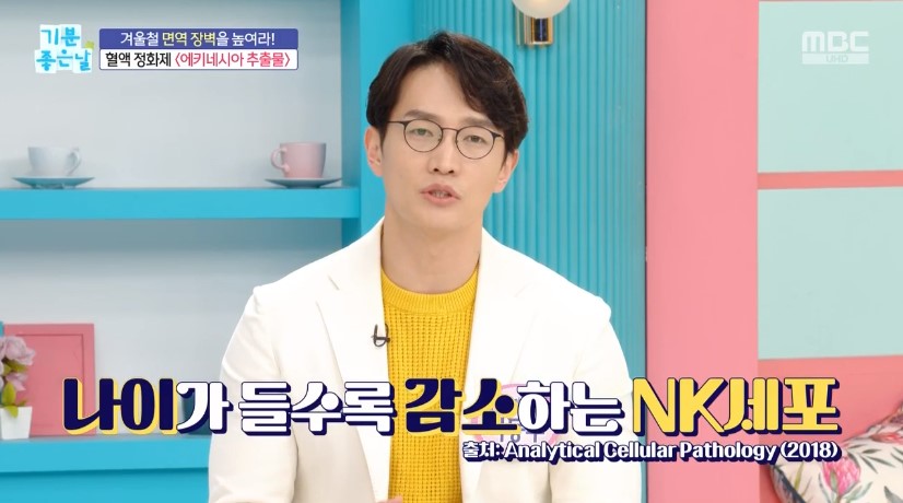 에키네시아 추출물 효능 NK세포 사이토카인 정보 안내