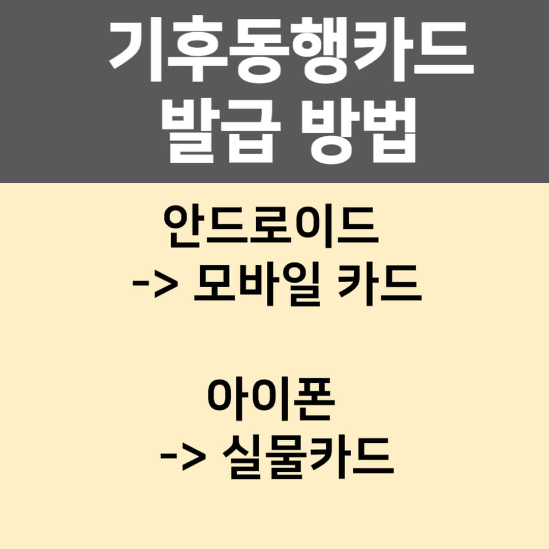 기후동행카드