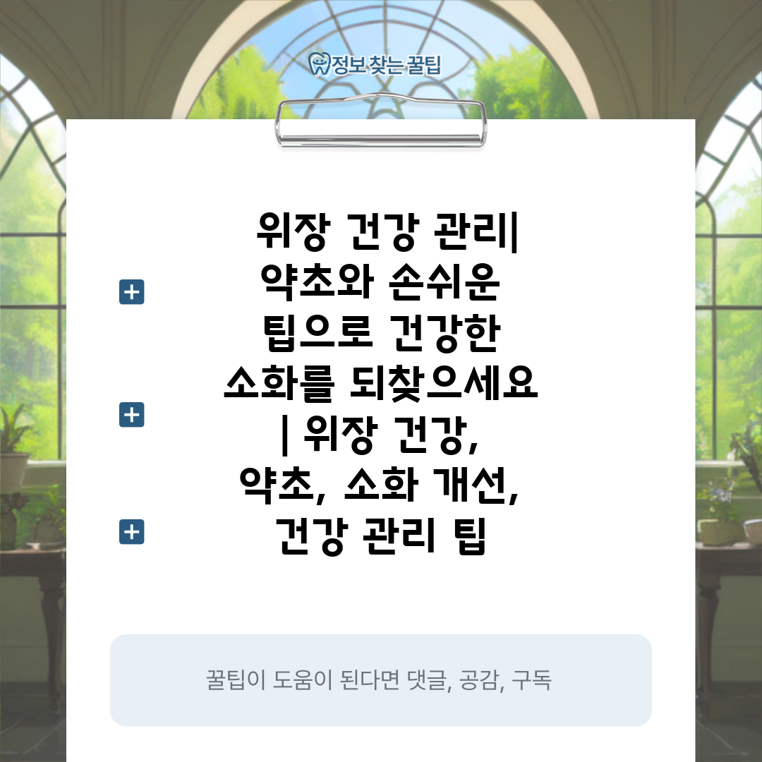  위장 건강 관리 약초와 손쉬운 팁으로 건강한 소화를 