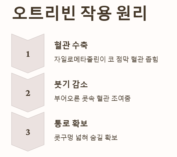 오트리빈-오트리빈가격-오트리빈부작용-코막힘-코막힘스프레이-비염스프레이-오트리빈효과-오트리빈사용법-오트리빈주의사항-오트리빈내성-반동성비염