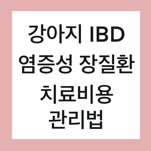  강아지 IBD 염증성 장 질환 치료비용 관리법