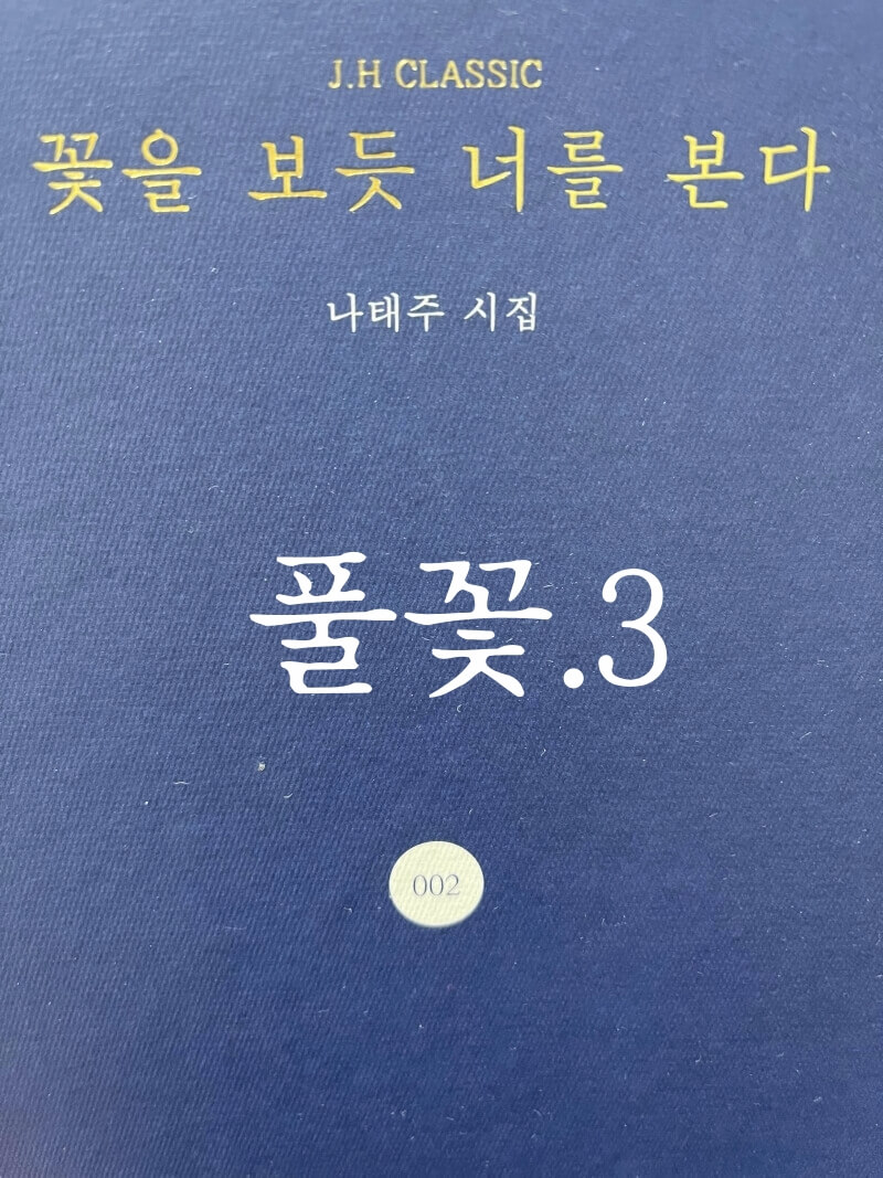  나태주의 '풀꽃.3'