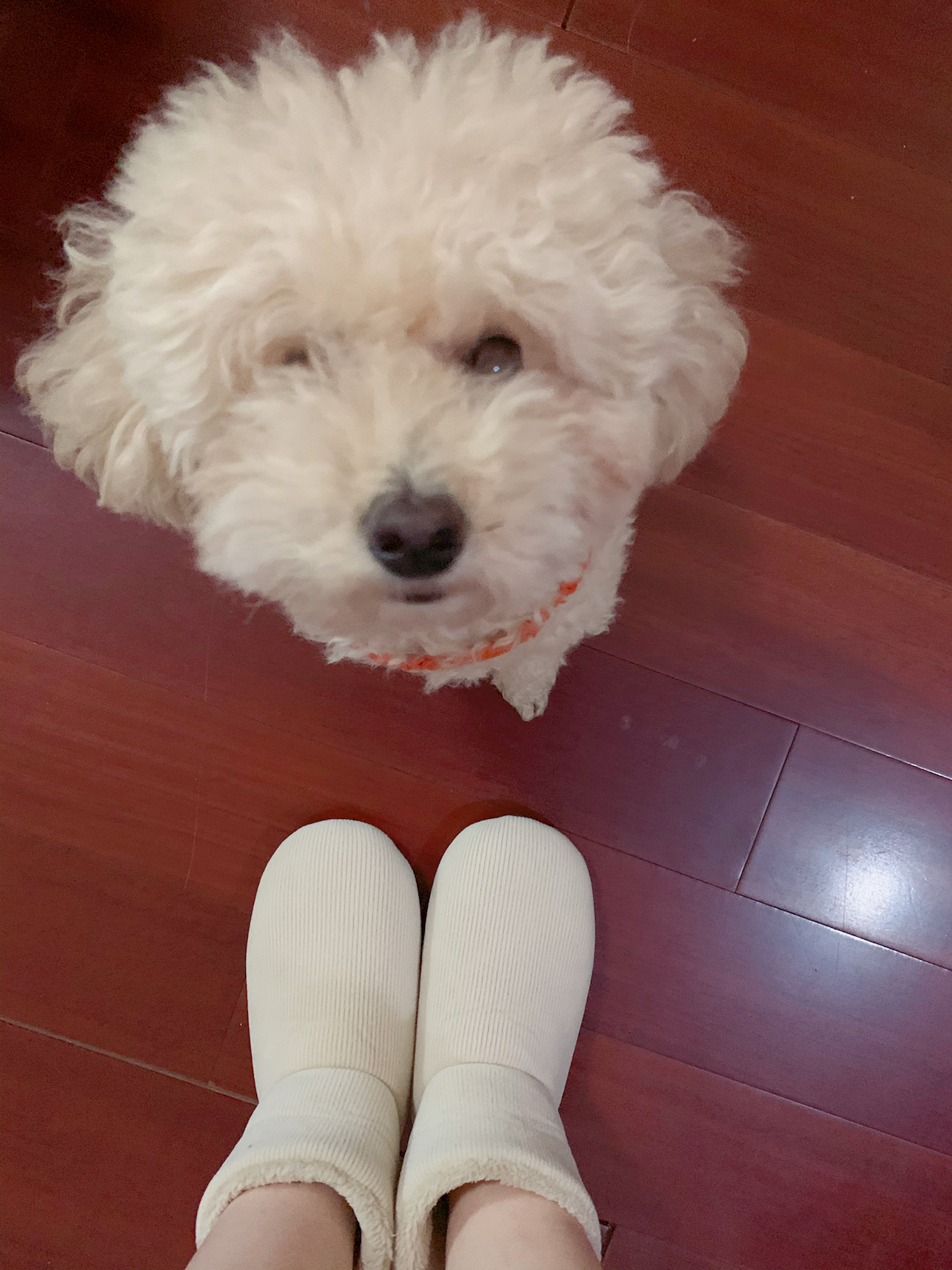  뽀송뽀송 털 실내화