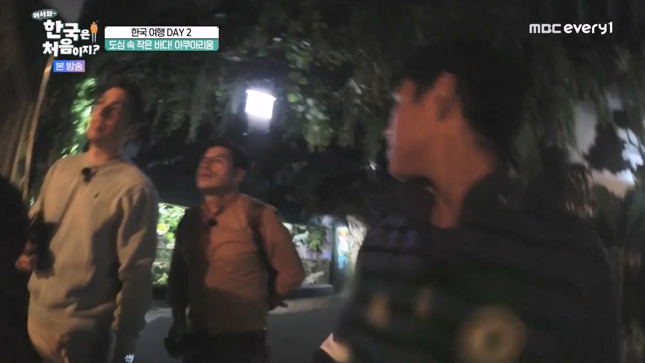 어서와 한국은 처음이지 시즌2.E290.231124p-NEXT.mp4_20231124_205336.830.jpg