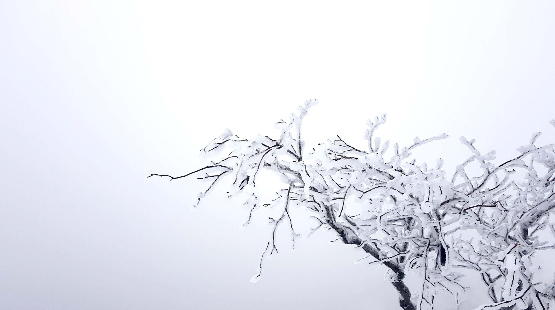 울산 가지산 설경