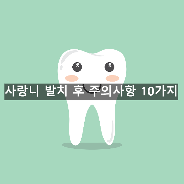 사랑니 발치 후 주의사항 10가지