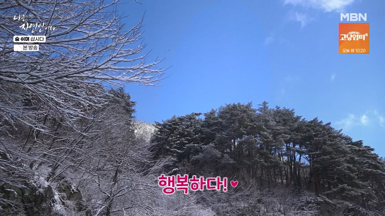 나는 자연인이다.E596.240307p-NEXT.mp4_20240307_195654.984.jpg