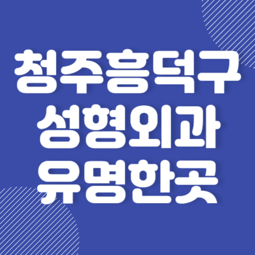 청주 흥덕구 성형외과 후기 좋고 유명한곳 추천 BEST 3