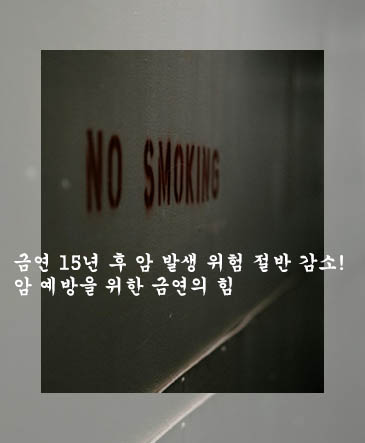 금연 15년 후 암 발생 위험 절반 감소! 암 예방을 위한 금연의 힘