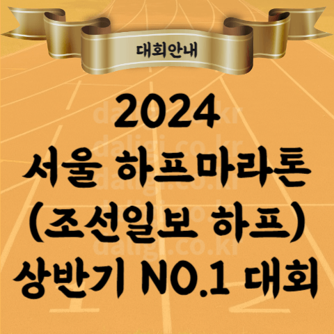 2024 서울 하프 마라톤 상반기 대회 참가비 기념품 교통통제 광화문에서 상암까지 (조선일보 하프)