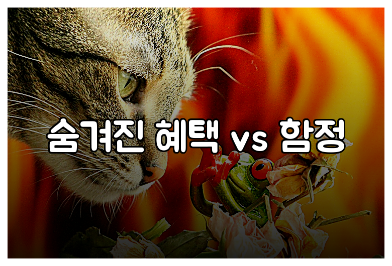 숨겨진 혜택 vs 함정