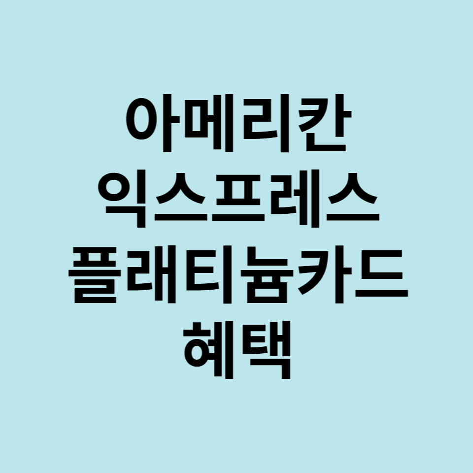  아메리칸 익스프레스 플래티늄카드 혜택