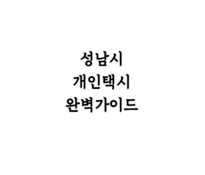 성남 개인택시