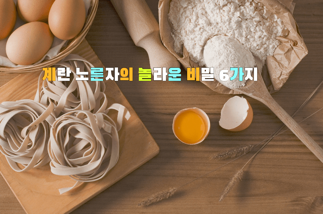  계란 노른자의 놀라운 비밀 6가지