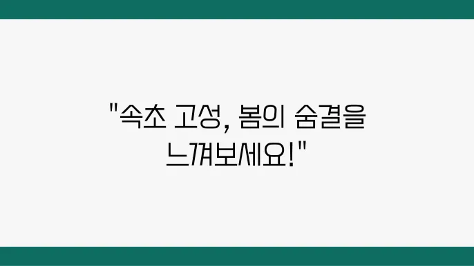속초의 전통 음식