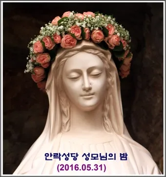 성모의 밤 의미 기도하는 방법_19