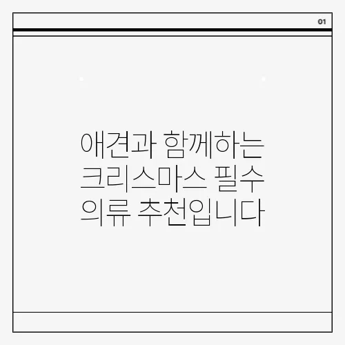애견과 함께하는 크리스마스 필수 의류 추천입니다, 놓치지 마세요!