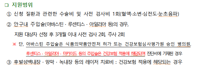 정부 지원 녹내장 지원 방법 사진